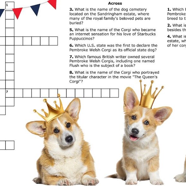 Test Your Animal IQ: Can you conquer the coronation Corgis crossword challenge?