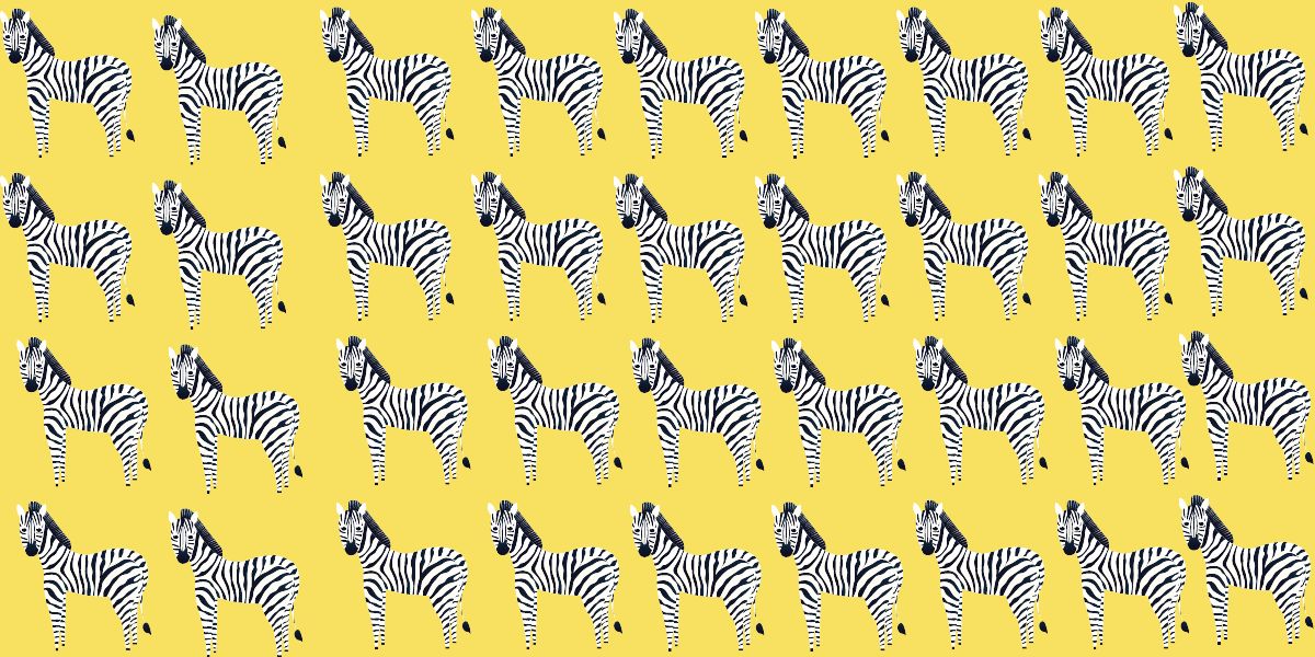 Can you spot the odd one out in 25 seconds? Challenge your visual perception IQ with this zebra series brain trainer!