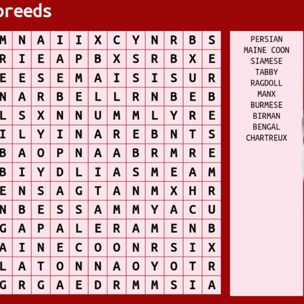 Can you outsmart your IQ? Take the 10 word cats wordsearch challenge!