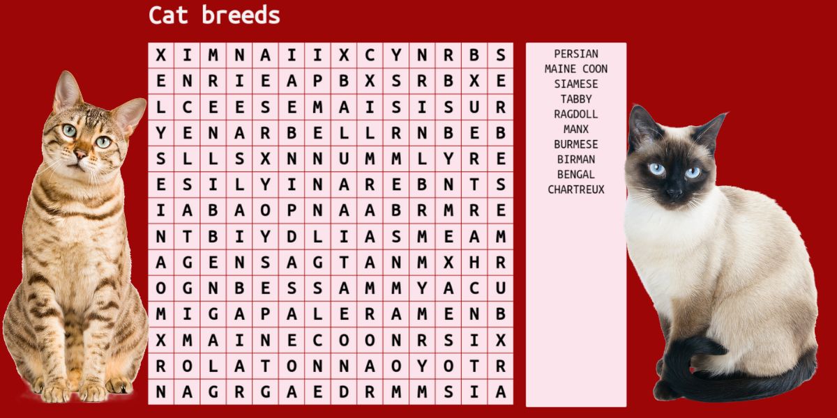 Can you outsmart your IQ? Take the 10 word cats wordsearch challenge!