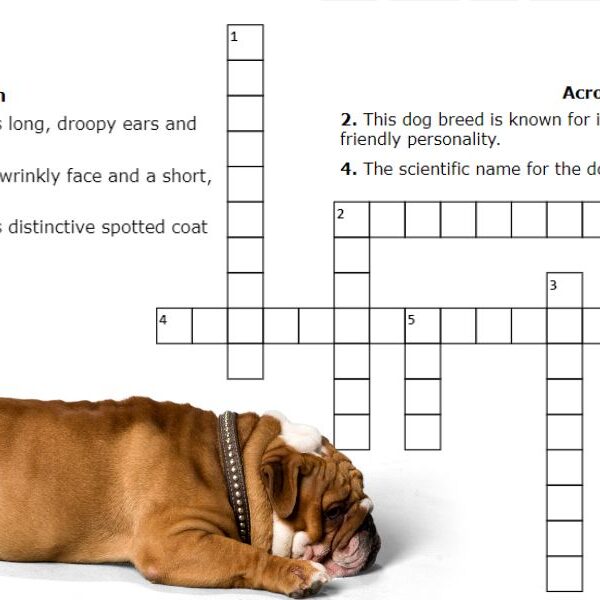 Test your Fido-Q: take the man's best friend crossword challenge!