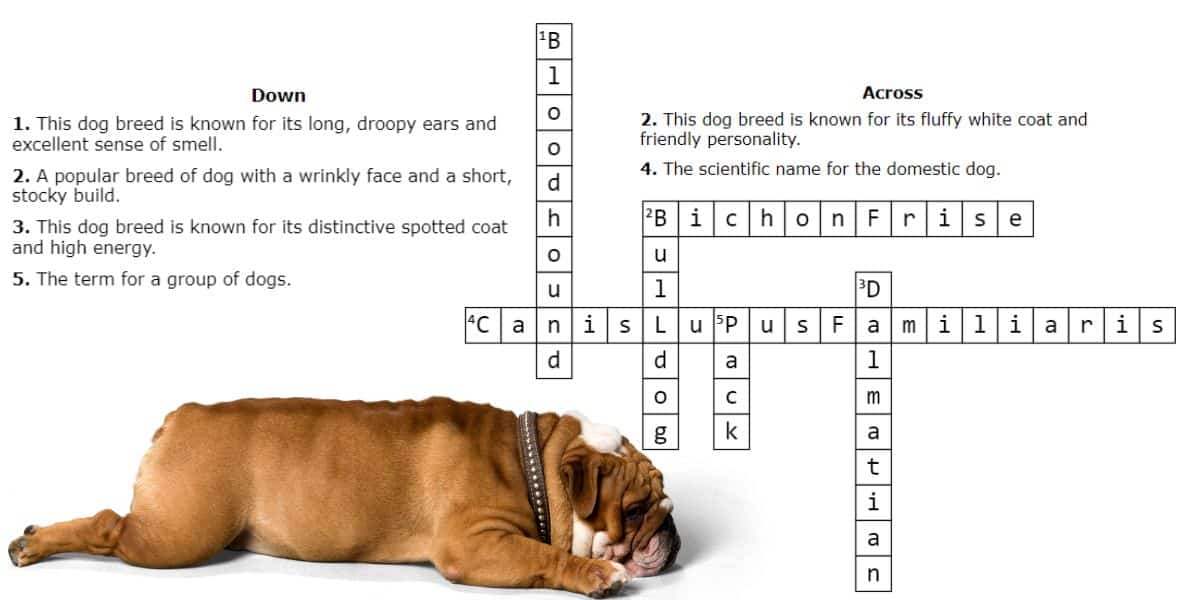 Test your Fido-Q answers