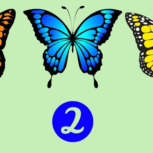 Personality Test: Unlock your imagination with your choice of butterfly!