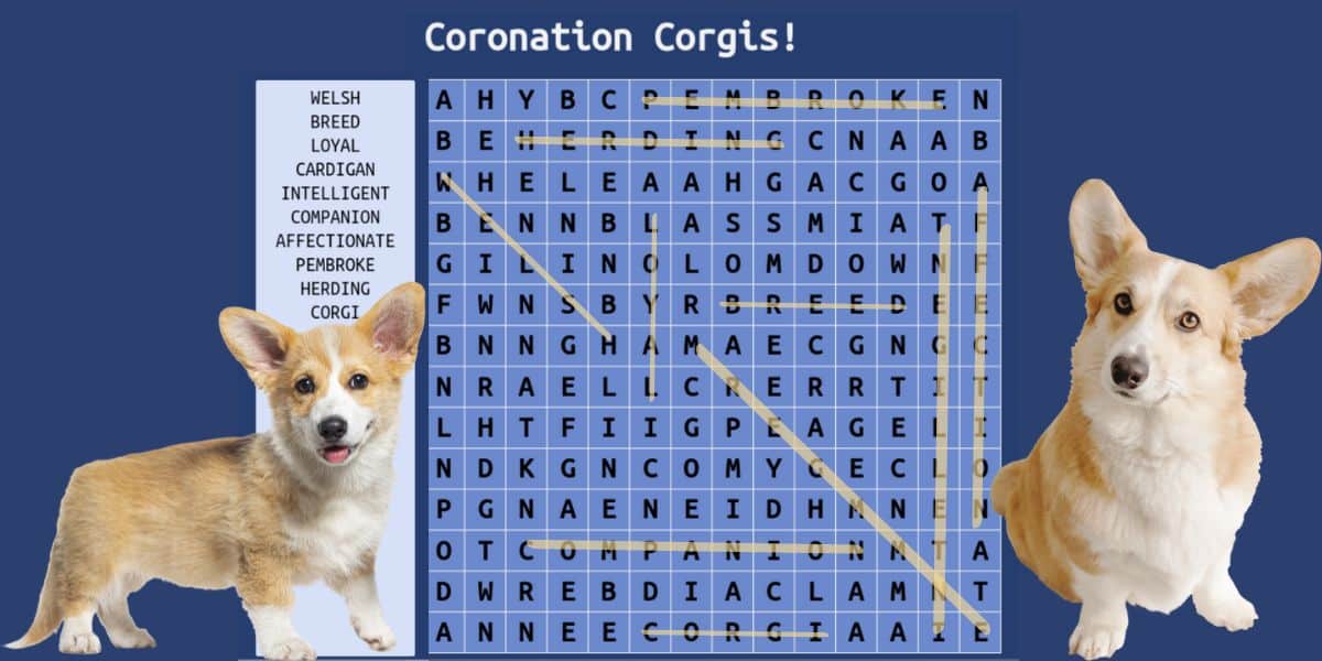 Corgis