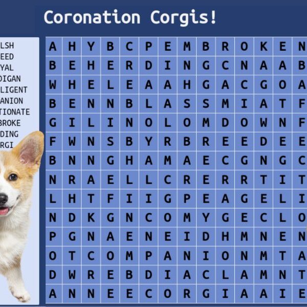 Test your IQ: take the coronation Corgis wordsearch challenge!