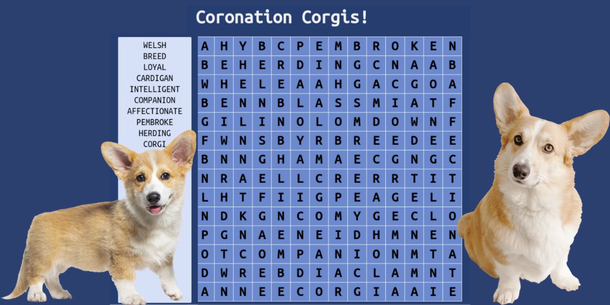 Test your IQ: take the coronation Corgis wordsearch challenge!