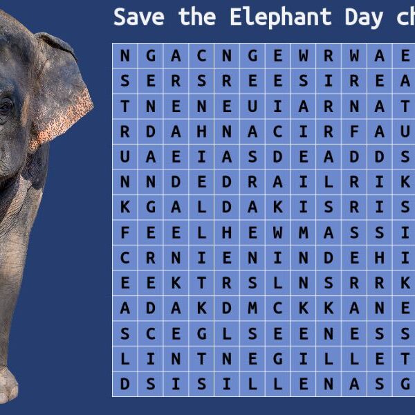 Test your elephant IQ: Take the 10-word elephant wordsearch challenge!
