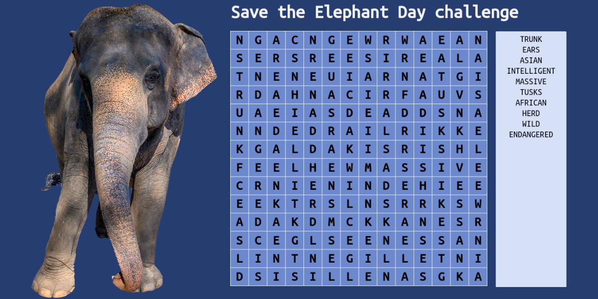 Test your elephant IQ: Take the 10-word elephant wordsearch challenge!