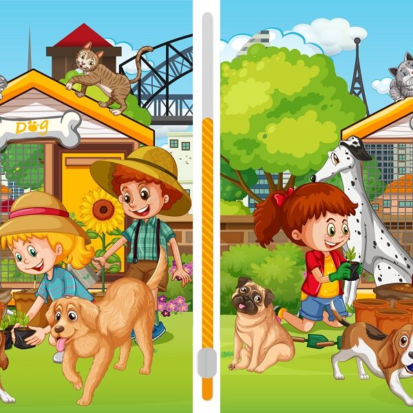 Spot the difference challenge: find 6 differences between these animal scenes in less than 25 Seconds!