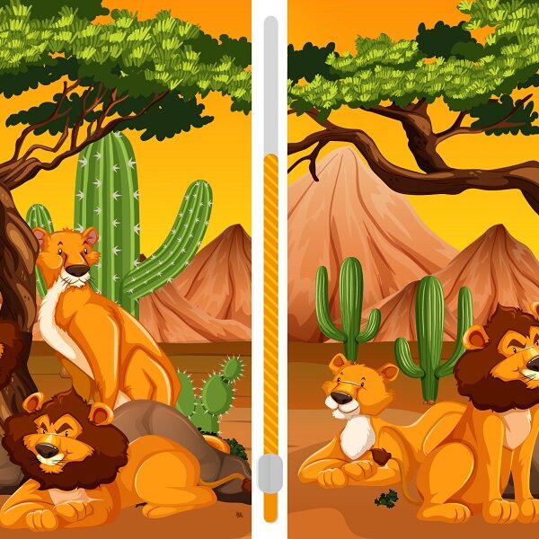 Do you have what it takes to spot the differences in this lion family in less than 30 seconds?