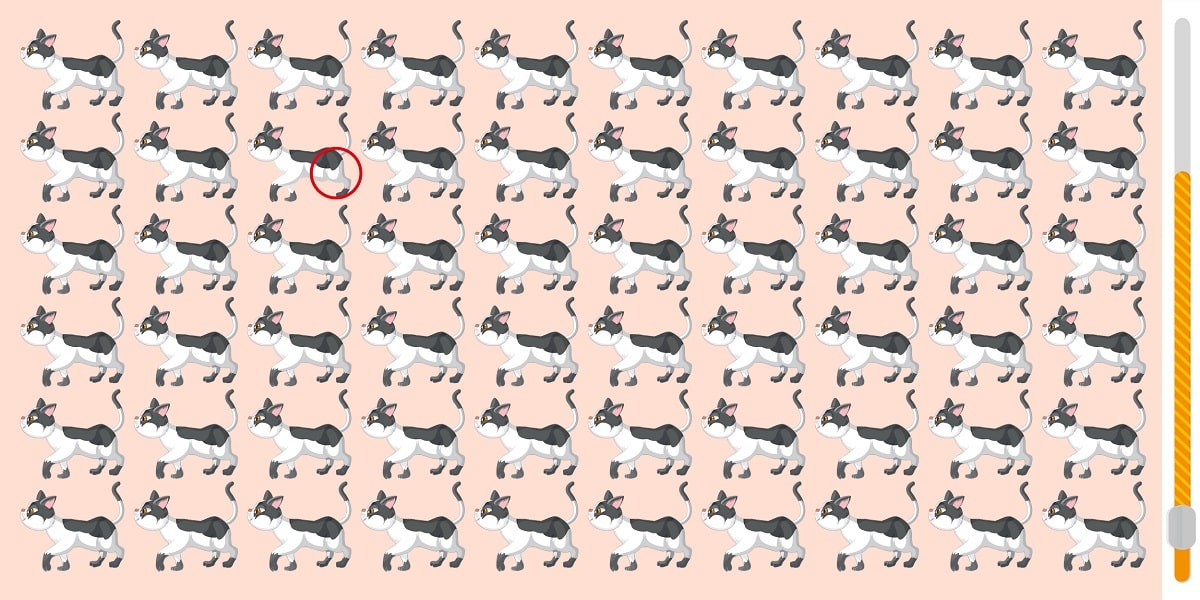 Can you spot the odd one out? Challenge your brain in less than 25 seconds to find the cat that doesn't fit in!