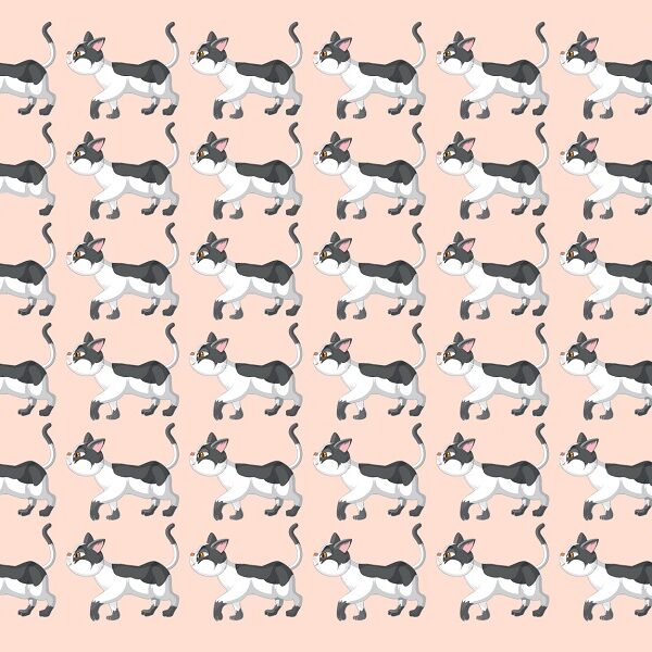 Can you spot the odd one out? Challenge your brain in less than 25 seconds to find the cat that doesn't fit in!