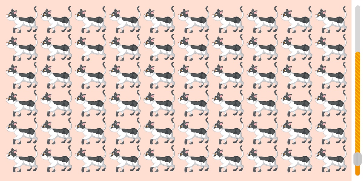 Can you spot the odd one out? Challenge your brain in less than 25 seconds to find the cat that doesn't fit in!