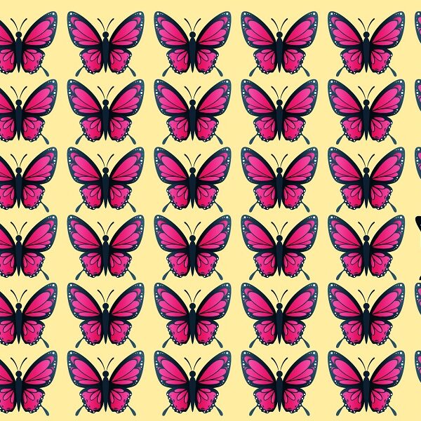 Find the odd one out challenge: do you have the brain power to spot the different butterfly in less than 15 seconds?