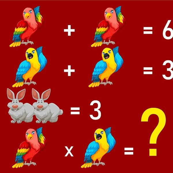 IQ brain teaser: crack the code and solve the animal equation in 25 seconds!