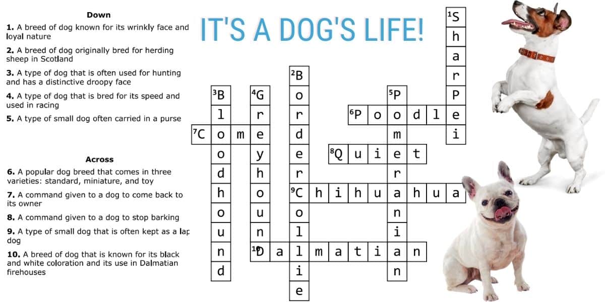 Dog's life answers