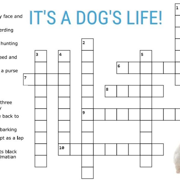 Test your dog IQ: take on the 10-word dog’s life crossword challenge!