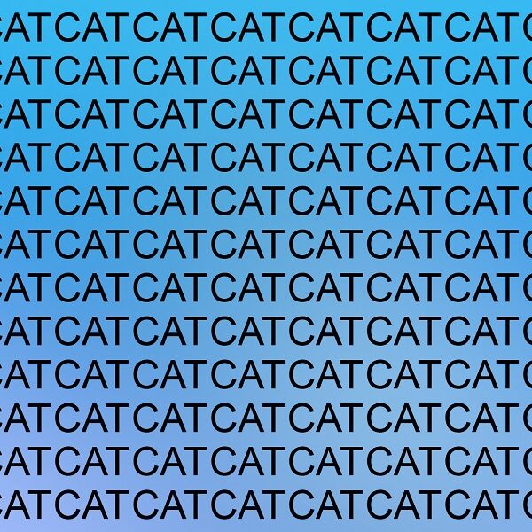 Can you spot the word "hat" hidden amongst hundreds of "cats" in less than 15 seconds?