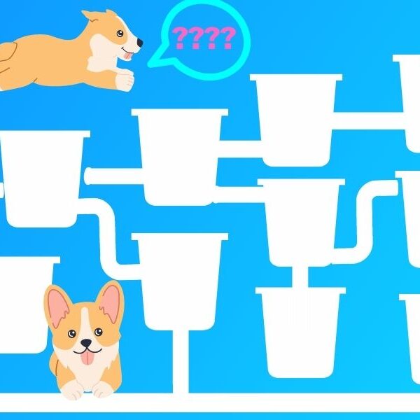 Brain teaser: Can you quench the Corgis thirst in 20 secondsor less? Test your math IQ!