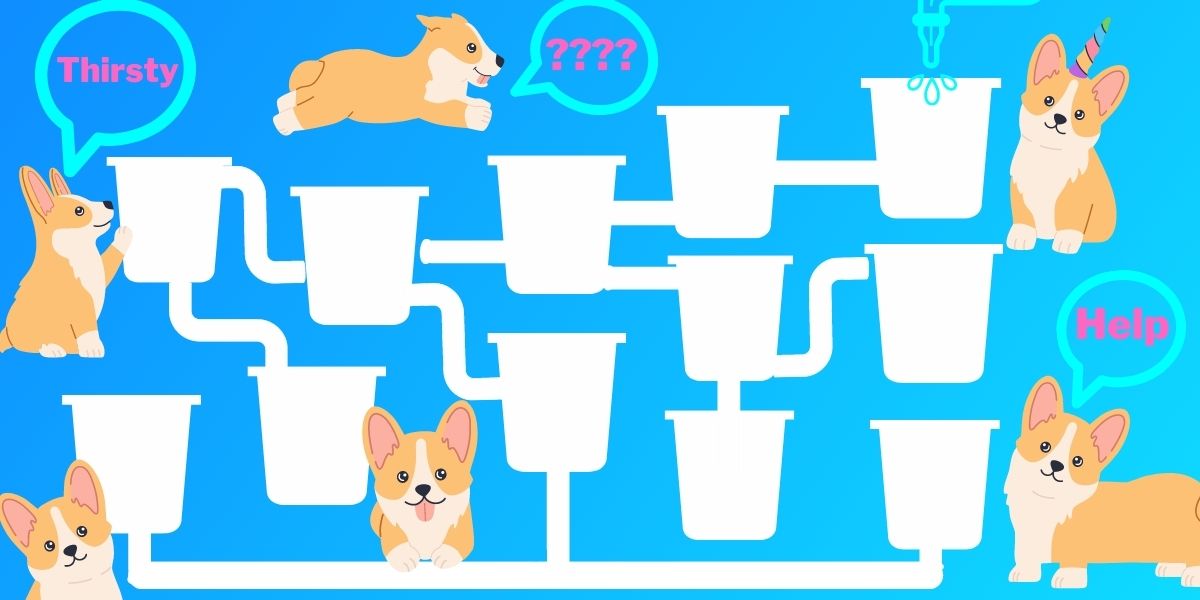 Brain teaser: Can you quench the Corgis thirst in 20 secondsor less? Test your math IQ!