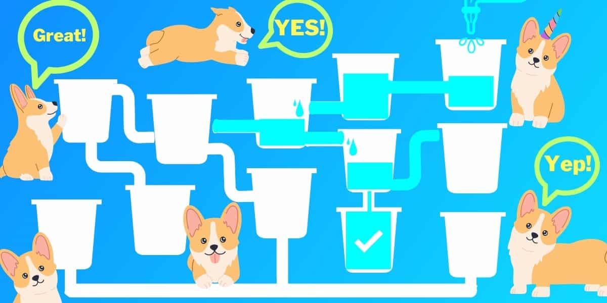 Brain teaser: Can you quench the Corgis thirst in 20 secondsor less? Test your math IQ!