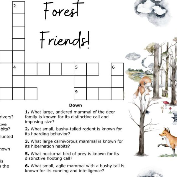 Brain teaser forest friends