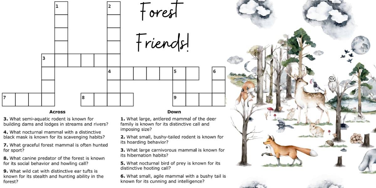 Brain teaser forest friends