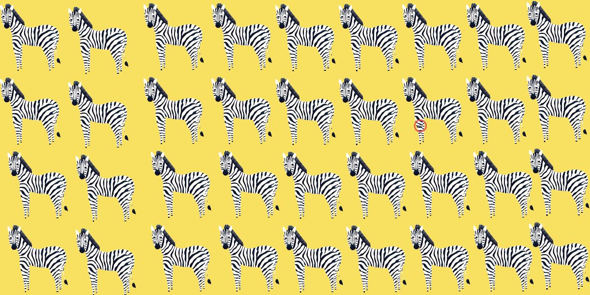 Can you spot the odd one out in 25 seconds? Challenge your visual perception IQ with this zebra series brain trainer!