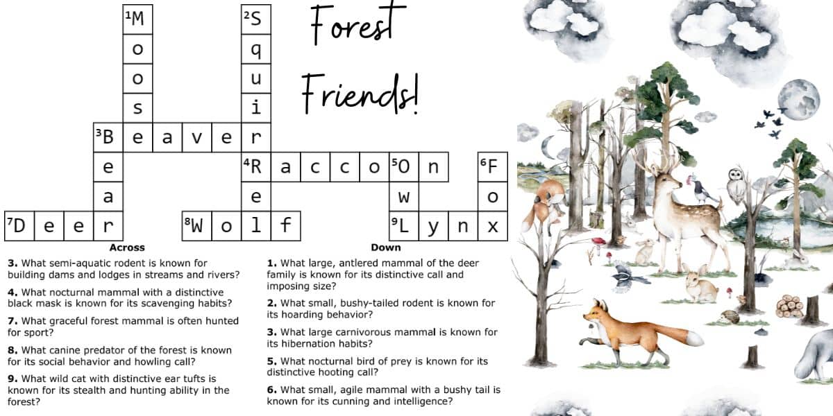 Brain teaser forest friends