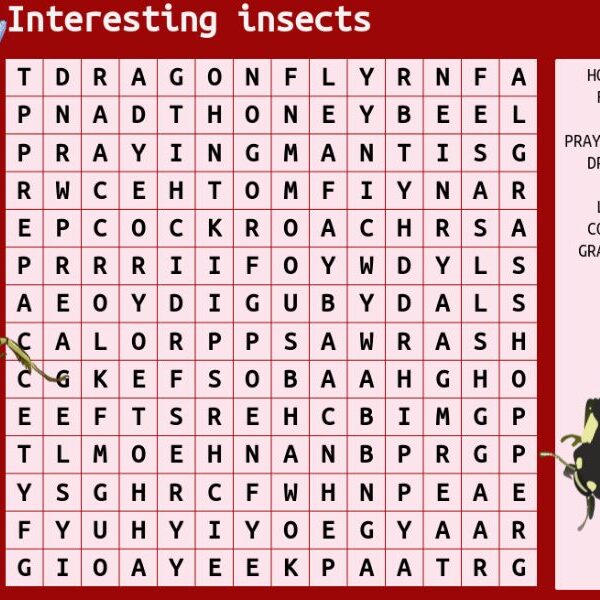 Test your IQ with the brain teaser: take the insects wordsearch challenge!