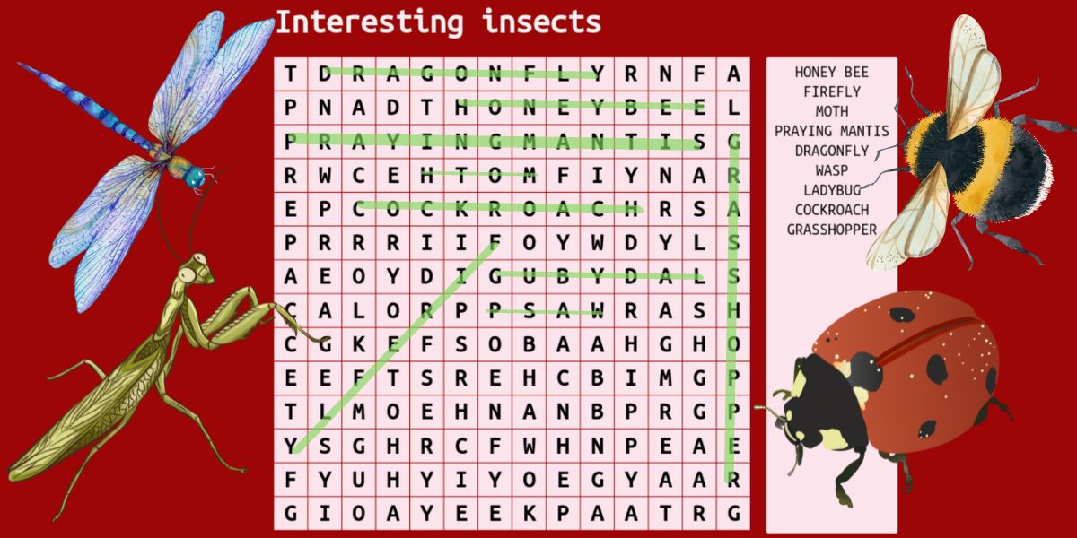 Test your IQ with the brain teaser: take the insects wordsearch challenge!