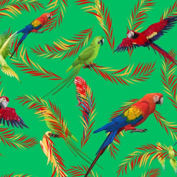 Brain teaser challenge: can you spot all the parrots in 13 seconds or less?