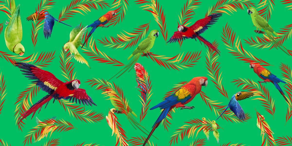 Brain teaser challenge: can you spot all the parrots in 13 seconds or less?