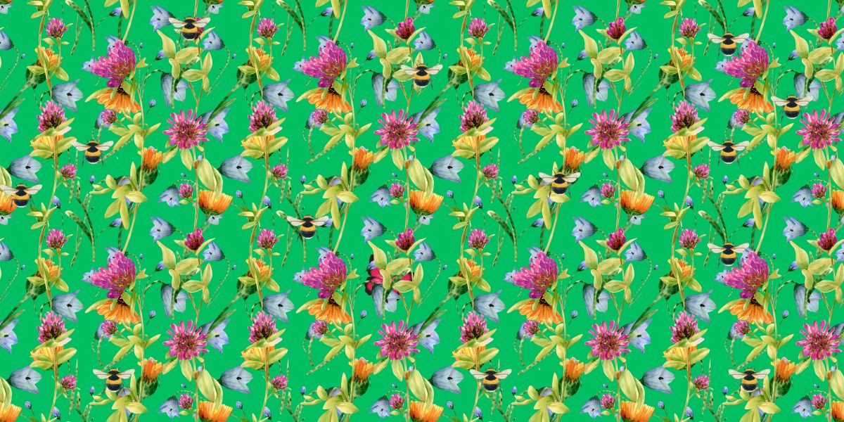 Find the butterfly brain teaser challenge: spot the single butterfly in 6 seconds or less!