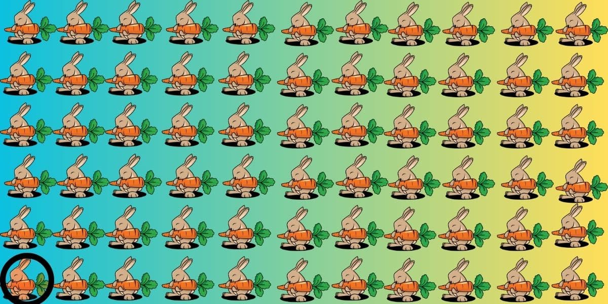 Can you beat the 4% challenge? spot the odd one out in 8 seconds or less - find the rabbit that stands out!