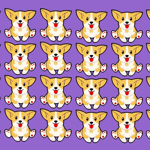 Can you spot the odd ones out in less than 25 seconds? challenge your visual skills with this series of Corgi images!