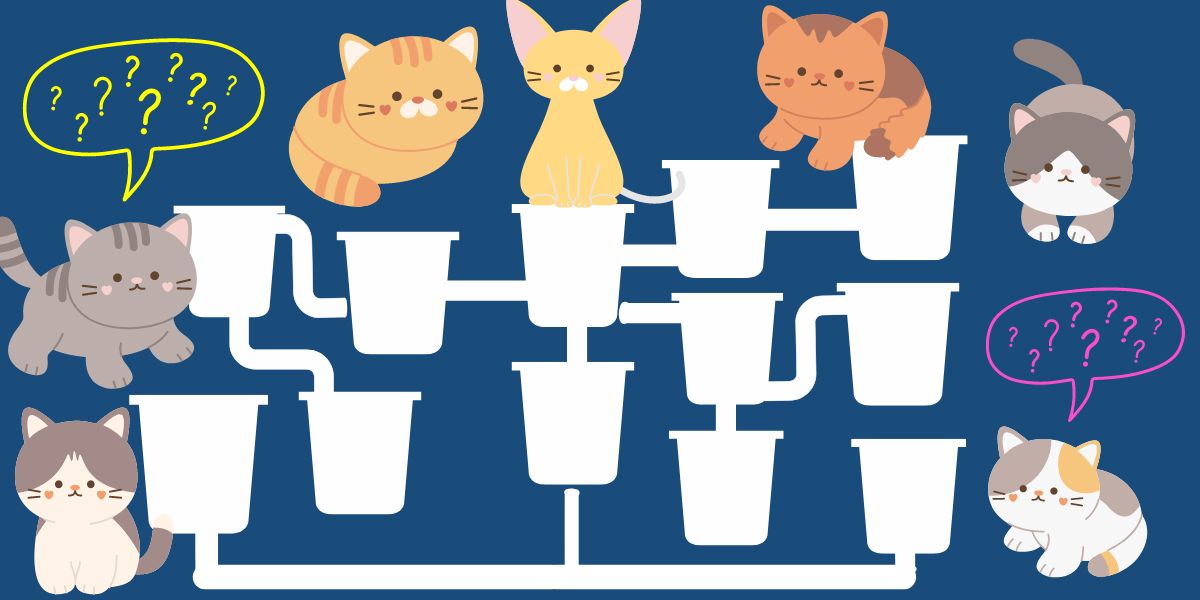 Brain teaser: Test your IQ and see if you can help these thirsty kittens drink in 14 seconds or less!