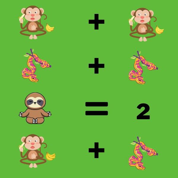 Brain teaser: crack the code to solve the animal equation in 12 seconds - test your IQ!