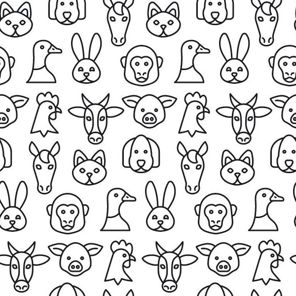 Find the bear face brain teaser challenge - can you spot it in under 6 seconds?