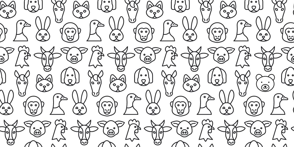 Find the bear face brain teaser challenge - can you spot it in under 6 seconds?