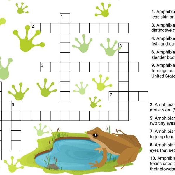 Test your genius IQ: Try the 120-second amazing amphibians crossword challenge!