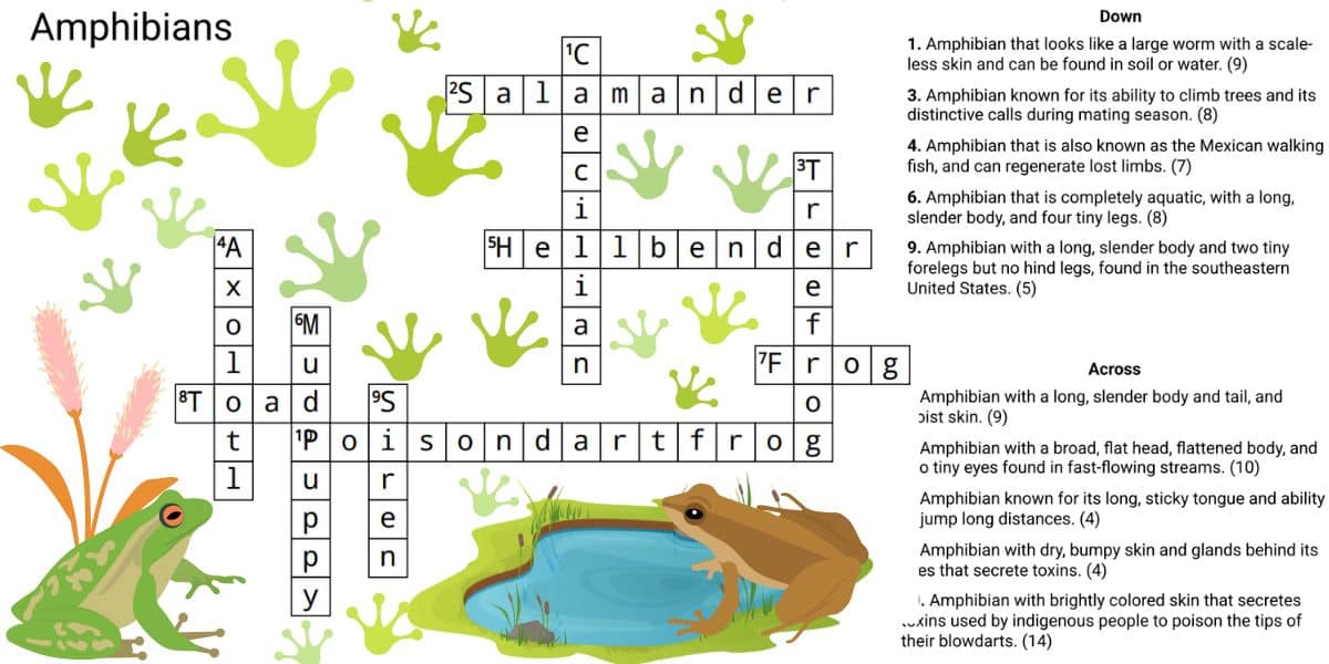 Test your genius IQ: Try the 120-second amazing amphibians crossword challenge!