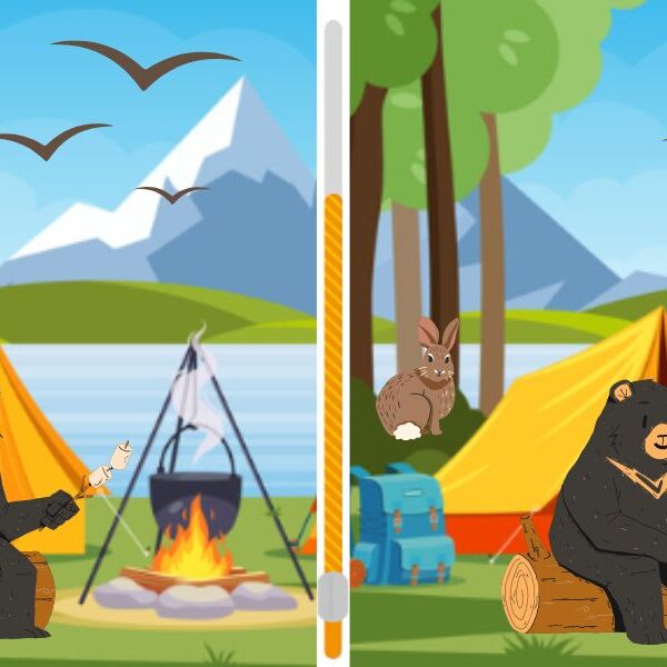 Can you spot the 6 differences? Test your visual skills in less than 21s with this bear scene challenge!