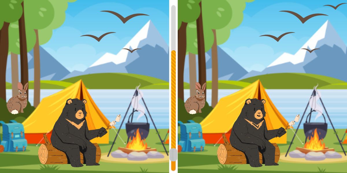 Can you spot the 6 differences? Test your visual skills in less than 21s with this bear scene challenge!
