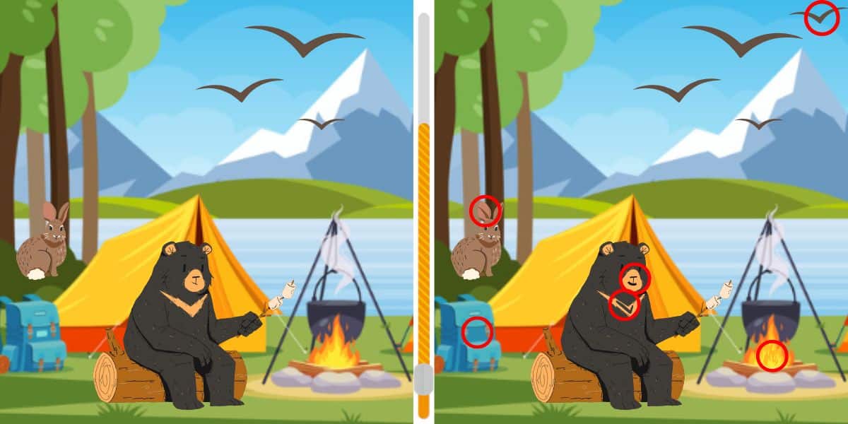 Can you spot the 6 differences? Test your visual skills in less than 21s with this bear scene challenge!
