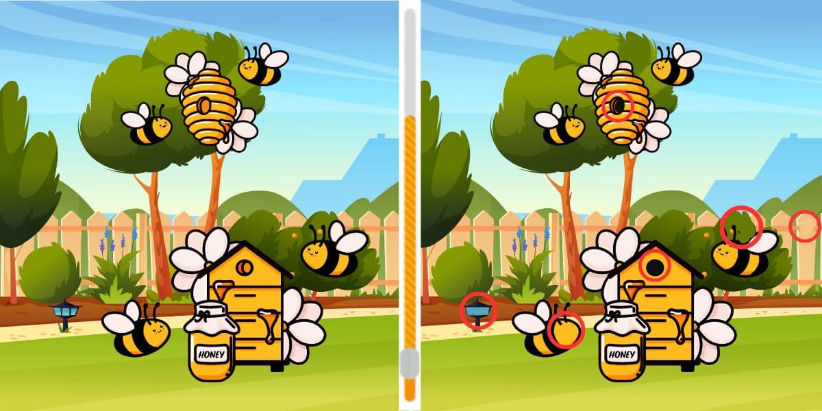 Can you beat the best and spot the 6 differences between these two bee scenes in under 22 seconds?