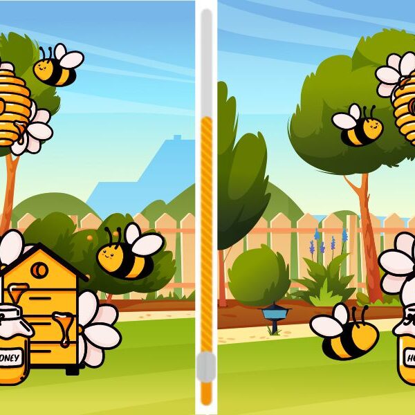 Can you beat the best and spot the 6 differences between these two bee scenes in under 22 seconds?