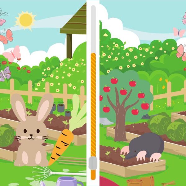 Can you spot the 5 differences in the vegetable patch in 18 seconds or less? Challenge yourself with this spot the difference game!