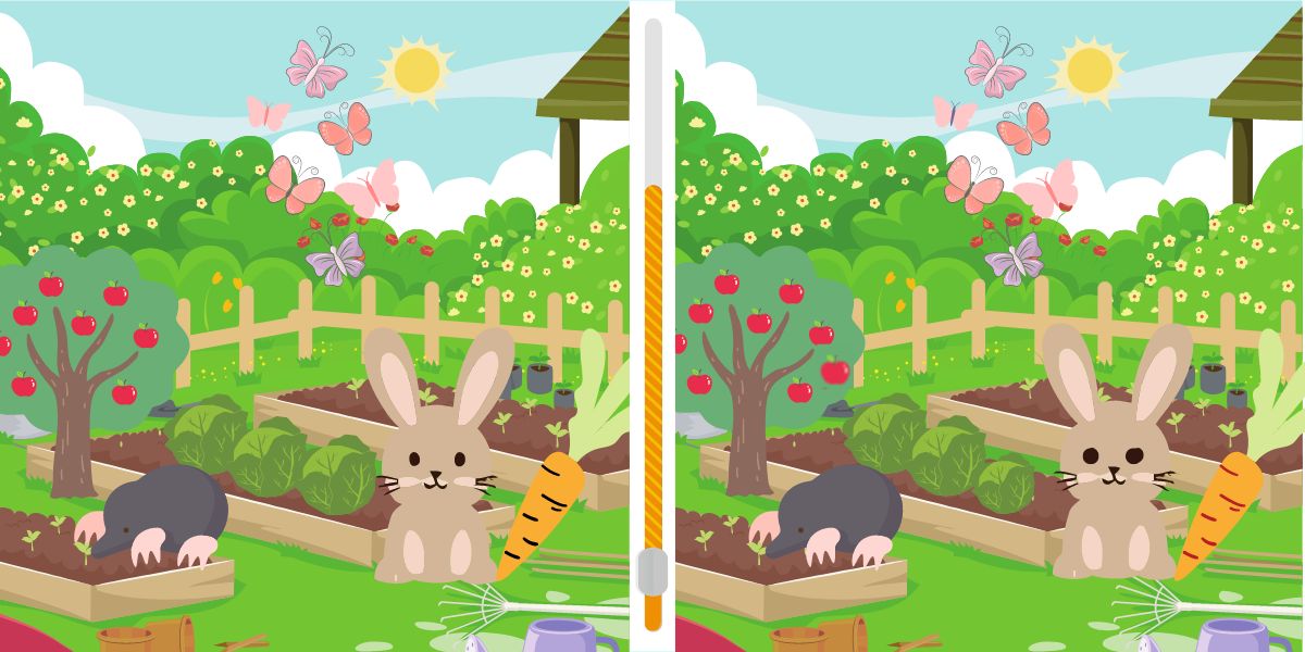 Can you spot the 5 differences in the vegetable patch in 18 seconds or less? Challenge yourself with this spot the difference game!