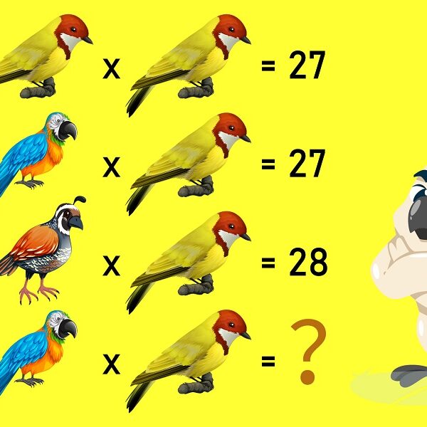 Brain teaser: crack the code and solve the animal equation in 15 seconds - an IQ challenge!